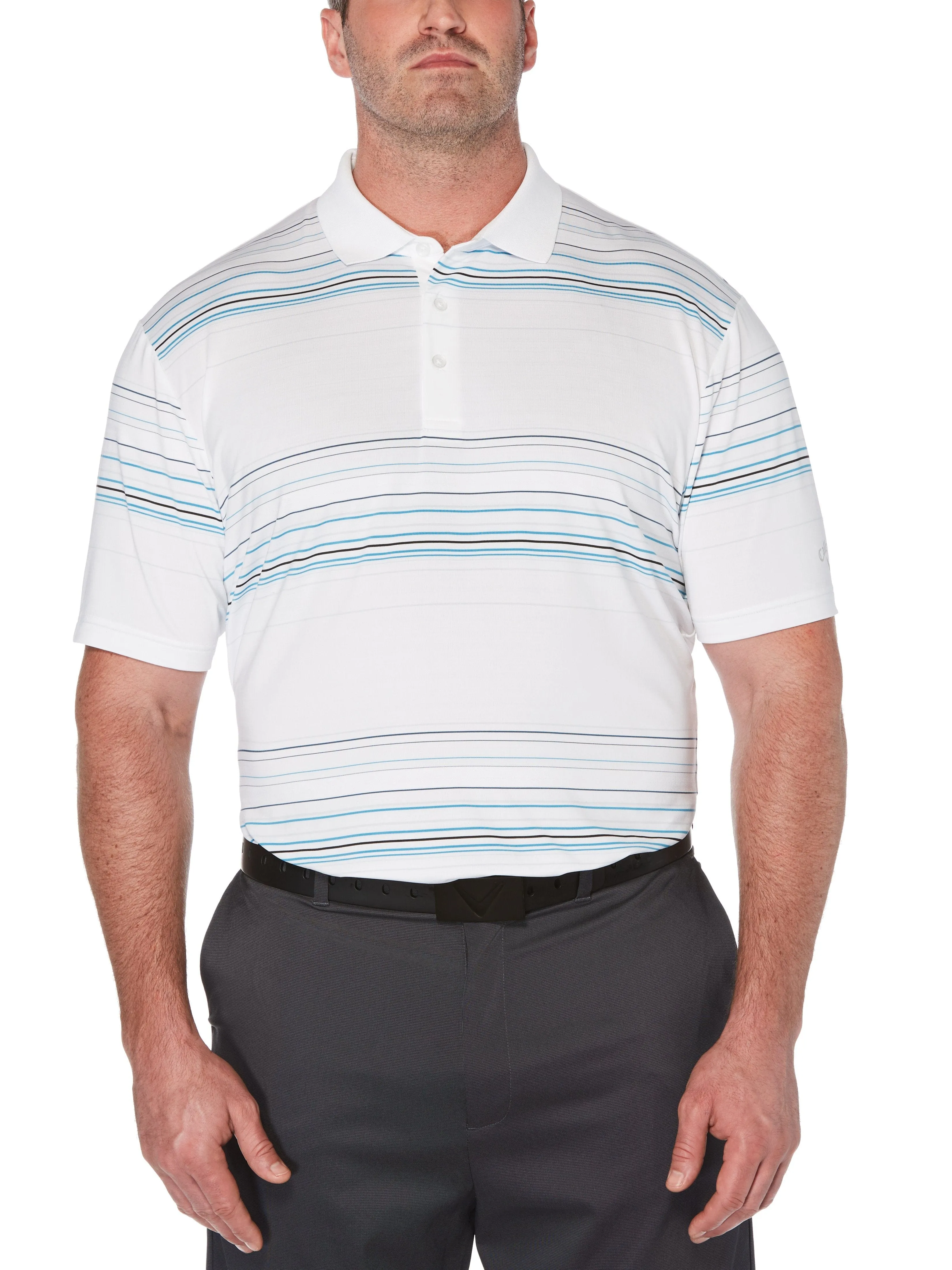 Big & Tall Fine Line Roadmap Stripe Polo