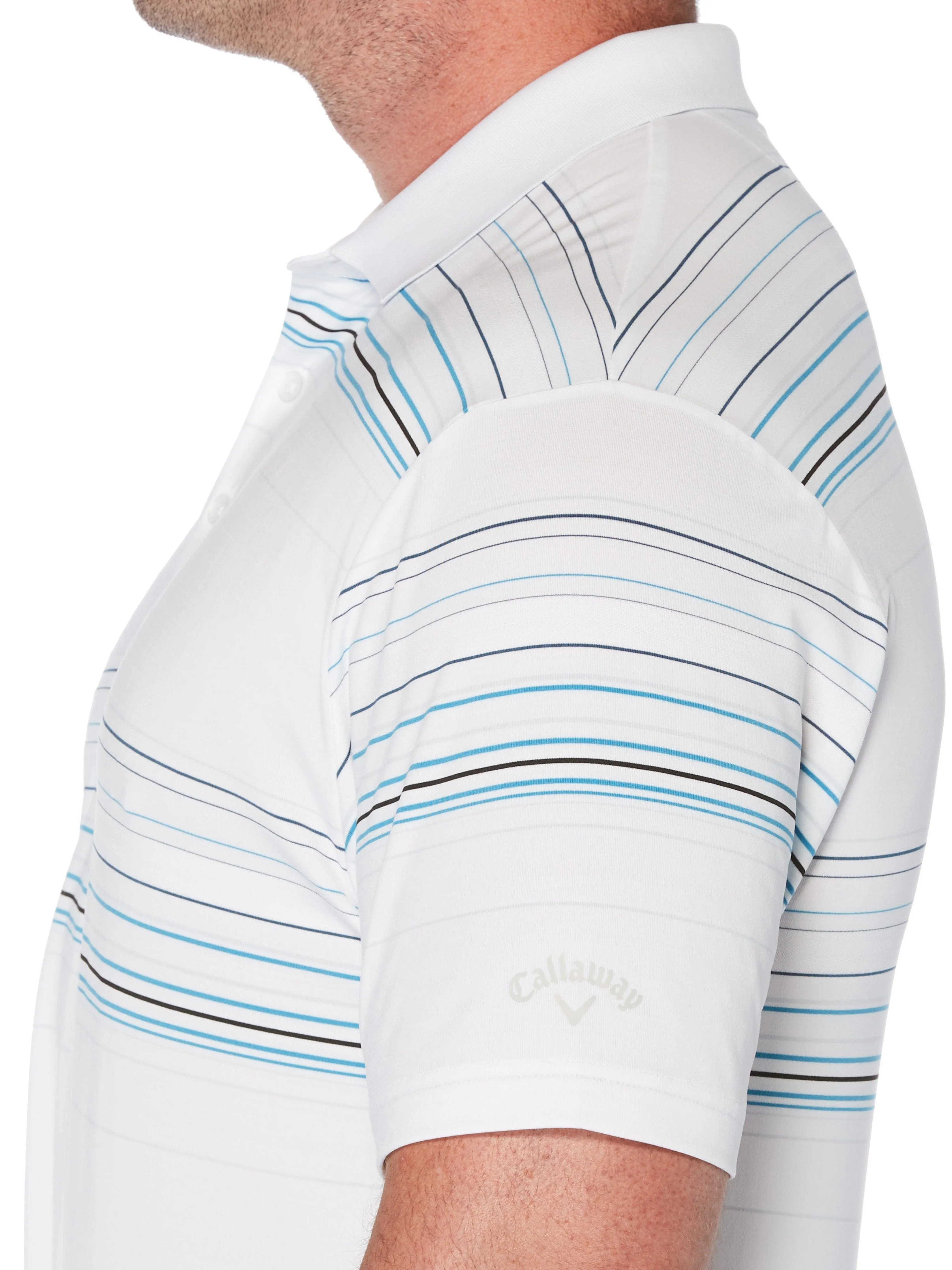 Big & Tall Fine Line Roadmap Stripe Polo