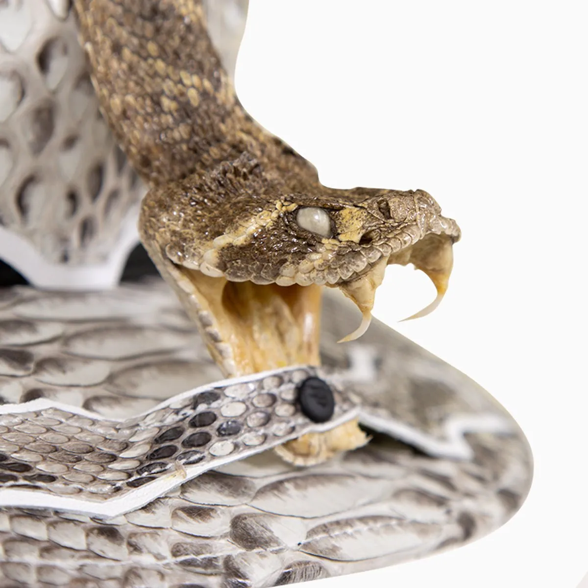Breyer's Buck 50 Leather Hat with Faux Snake Skin Visor