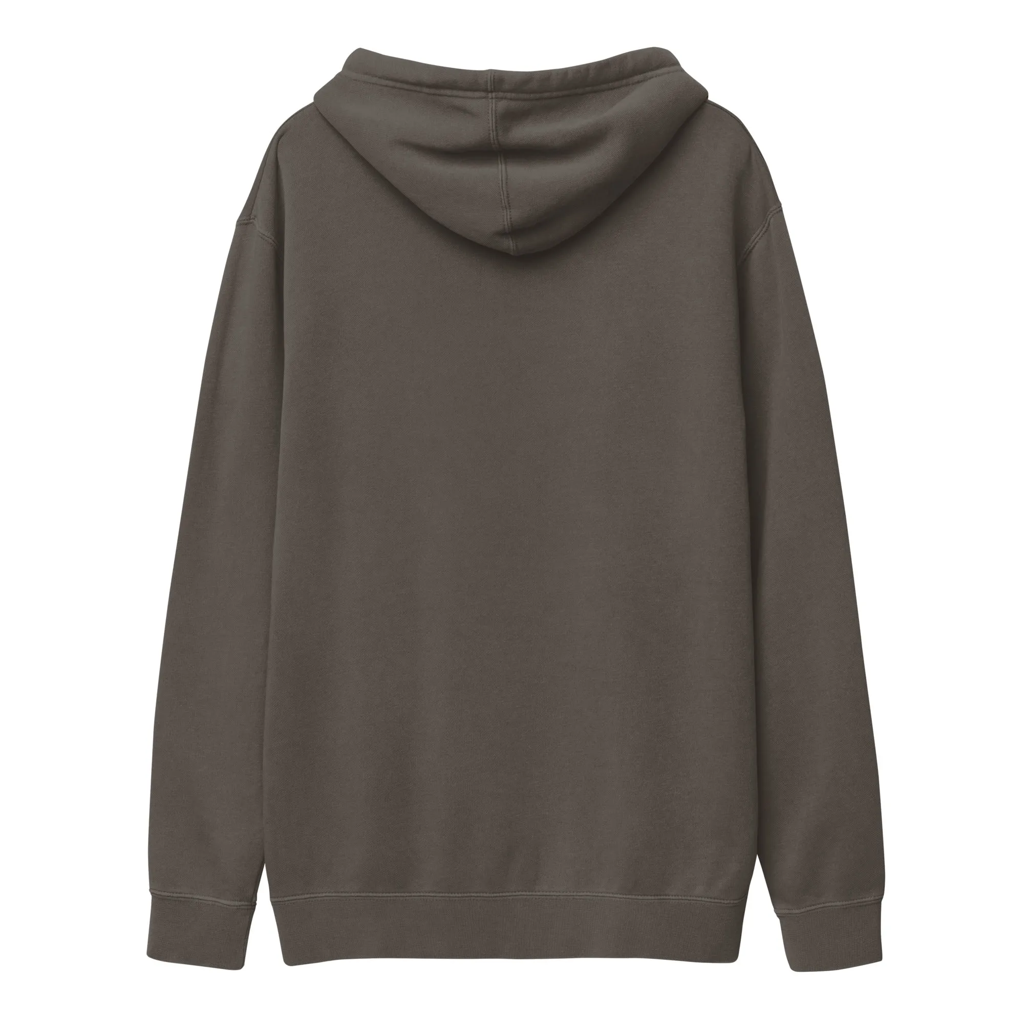 Carry Me Home Pigment-dyed Hoodie