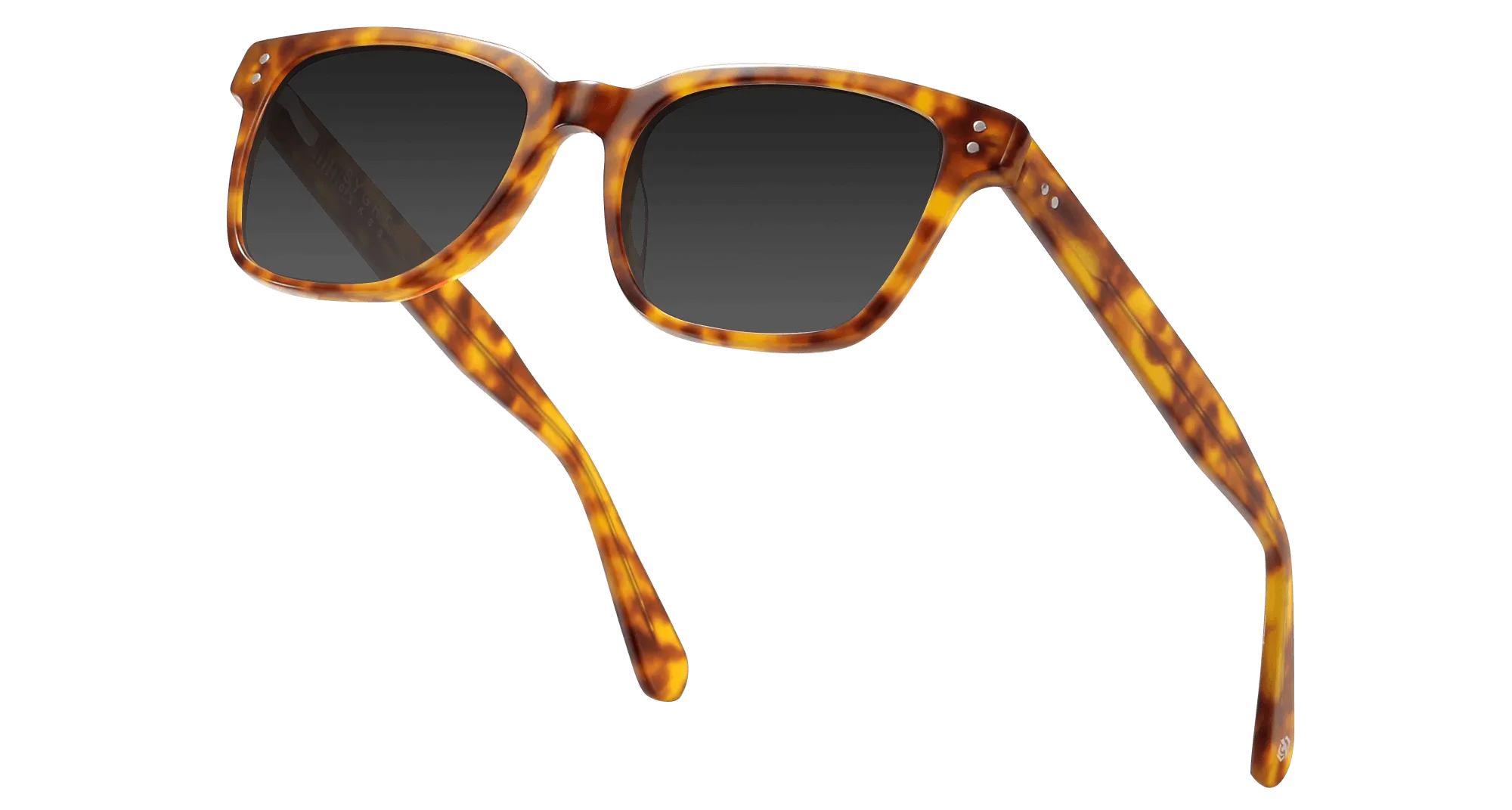 Dalton Sunglasses