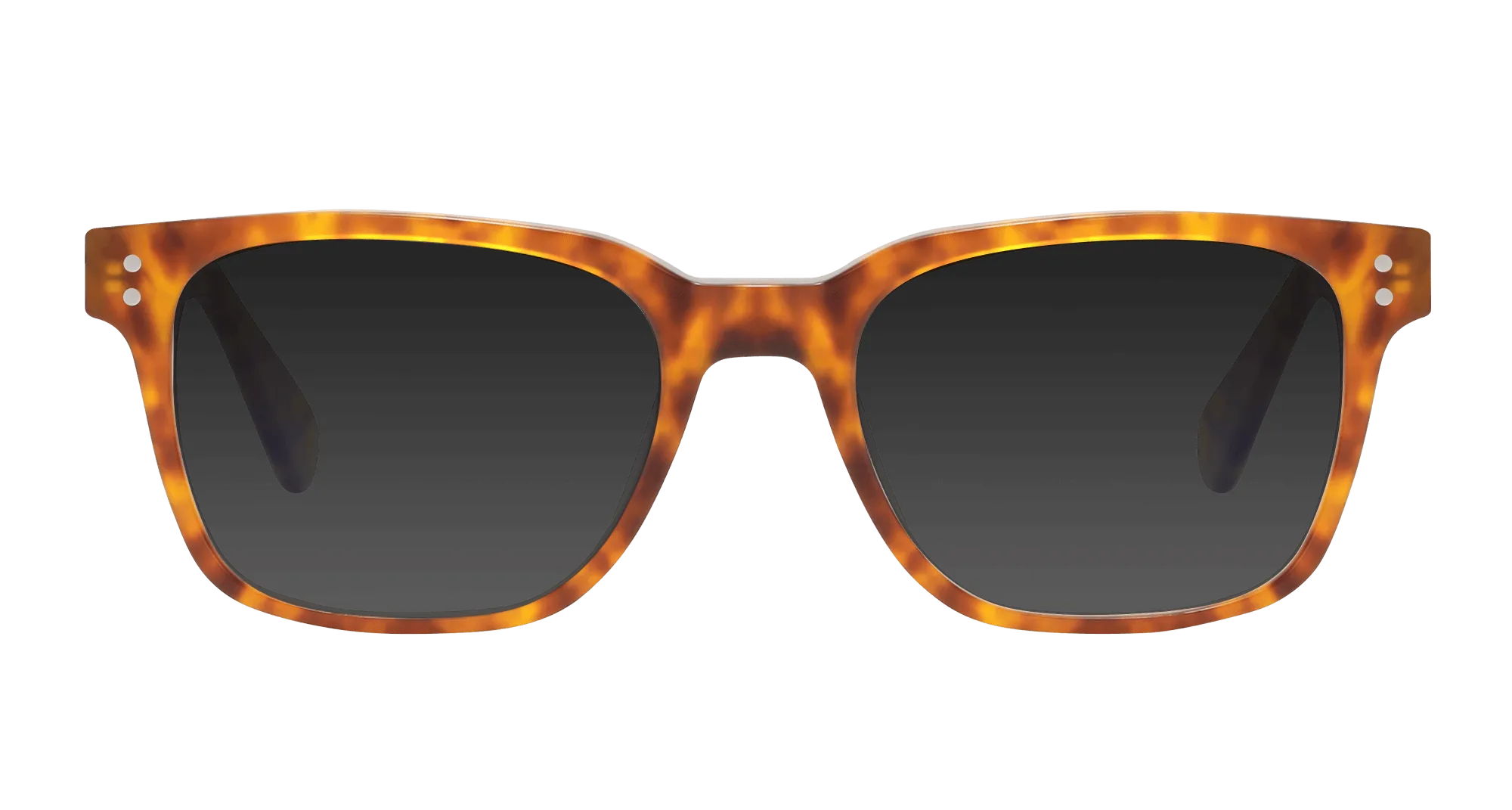 Dalton Sunglasses