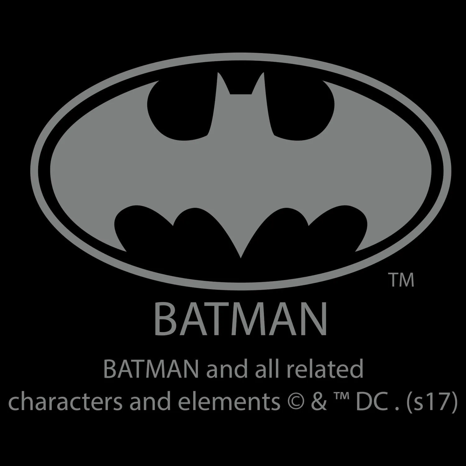 DC Comics Batwoman Logo Entrance Women's T-shirt
