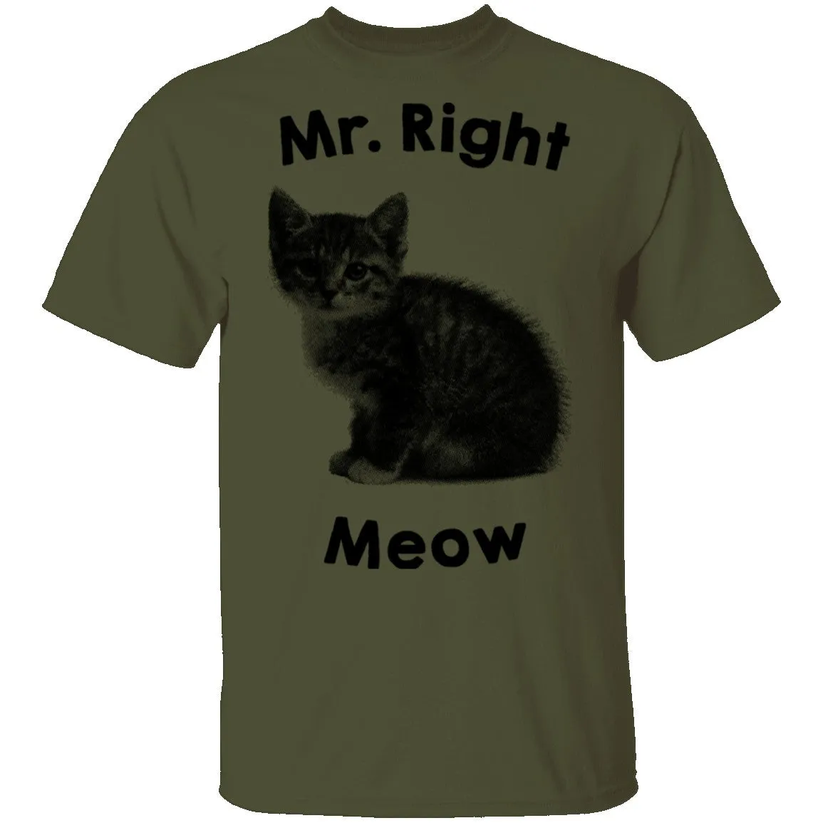 Mr. Right Meow T-Shirt