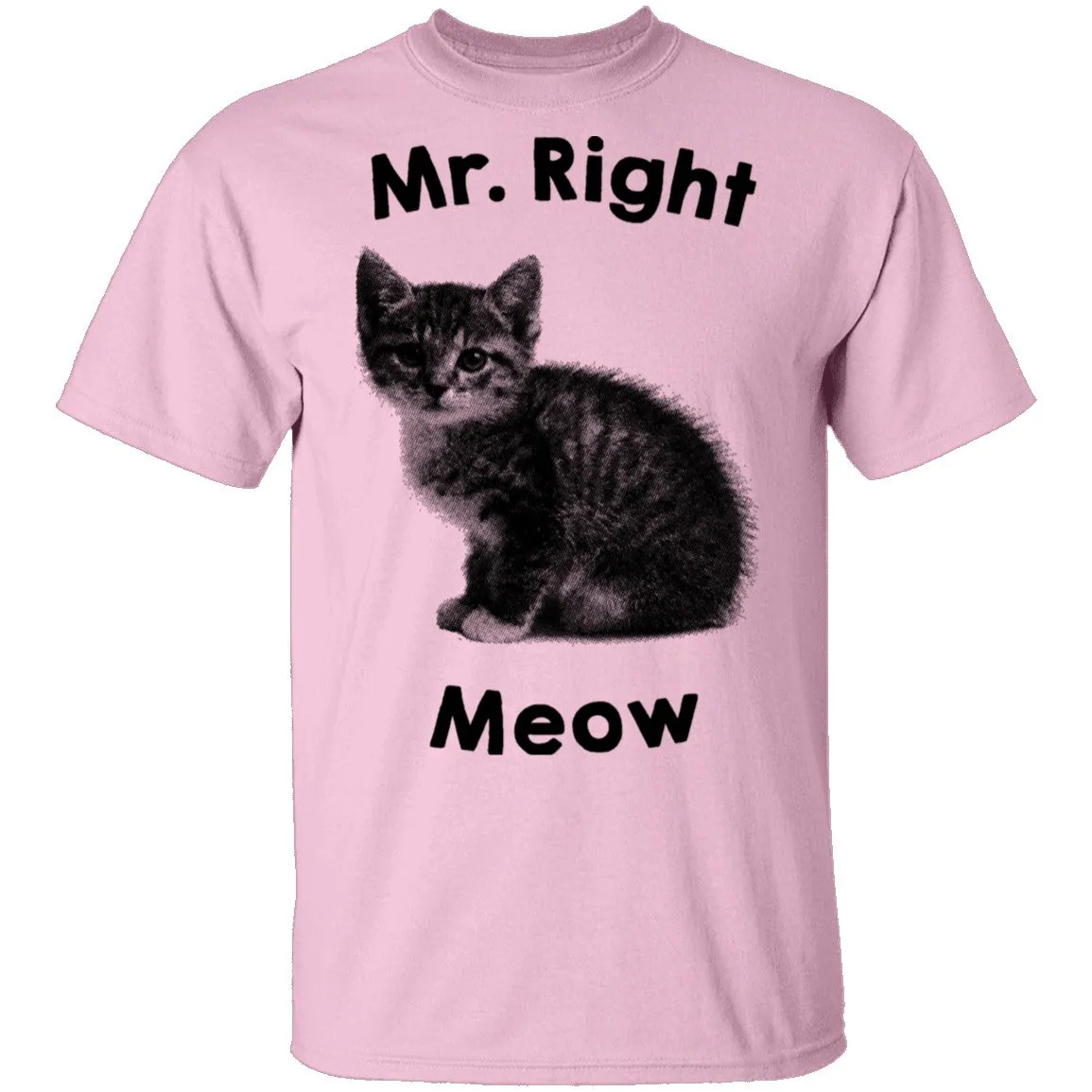 Mr. Right Meow T-Shirt