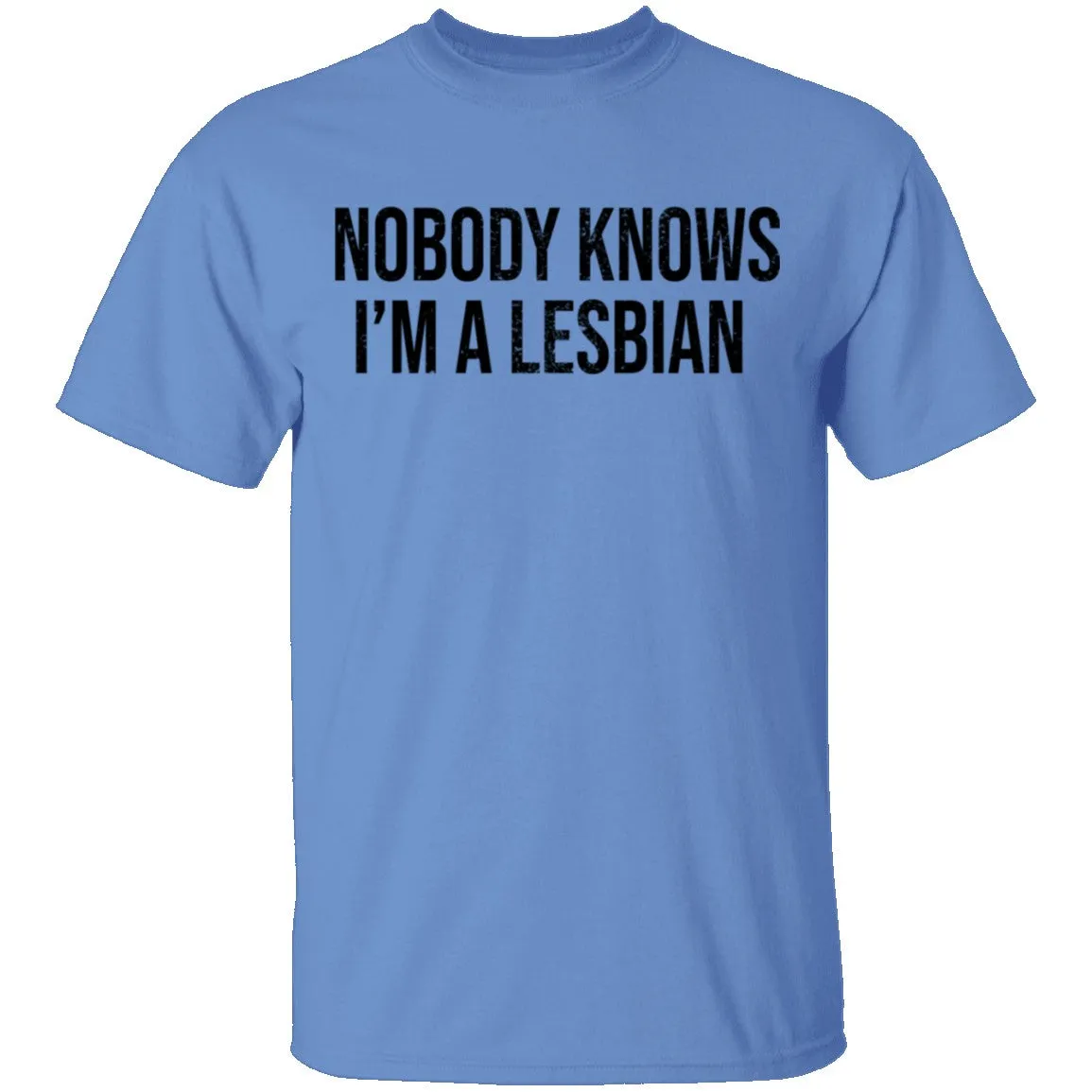Nobody Knows I'm A Lesbian T-Shirt