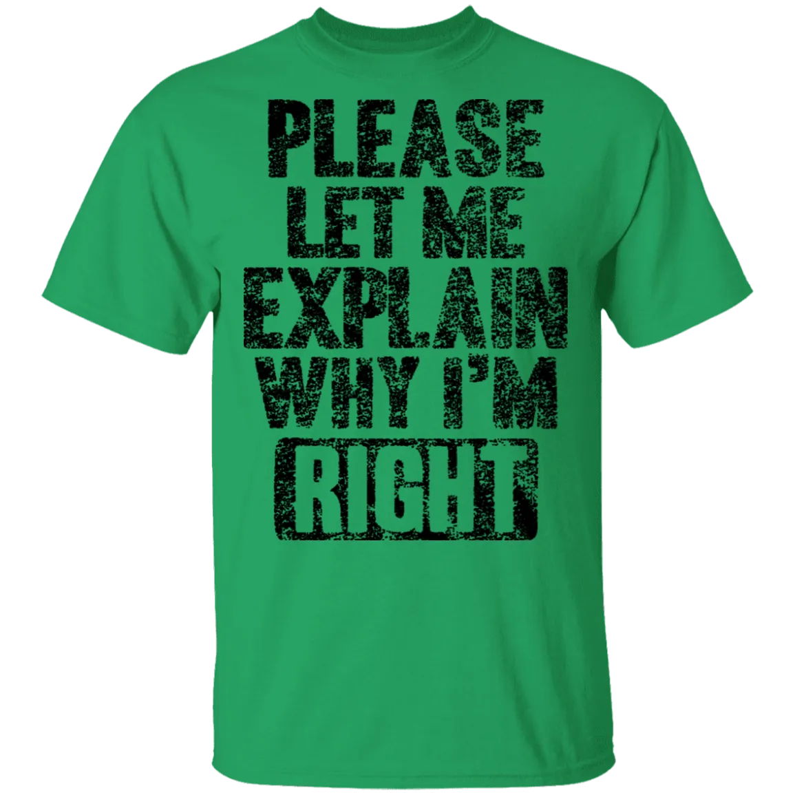 Please Let Me Explain Why I'm Right T-Shirt
