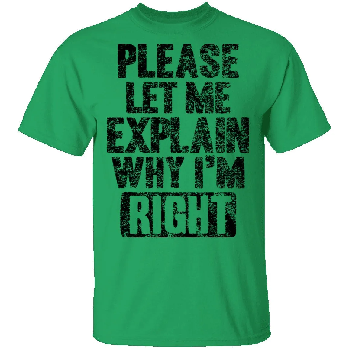 Please Let Me Explain Why I'm Right T-Shirt