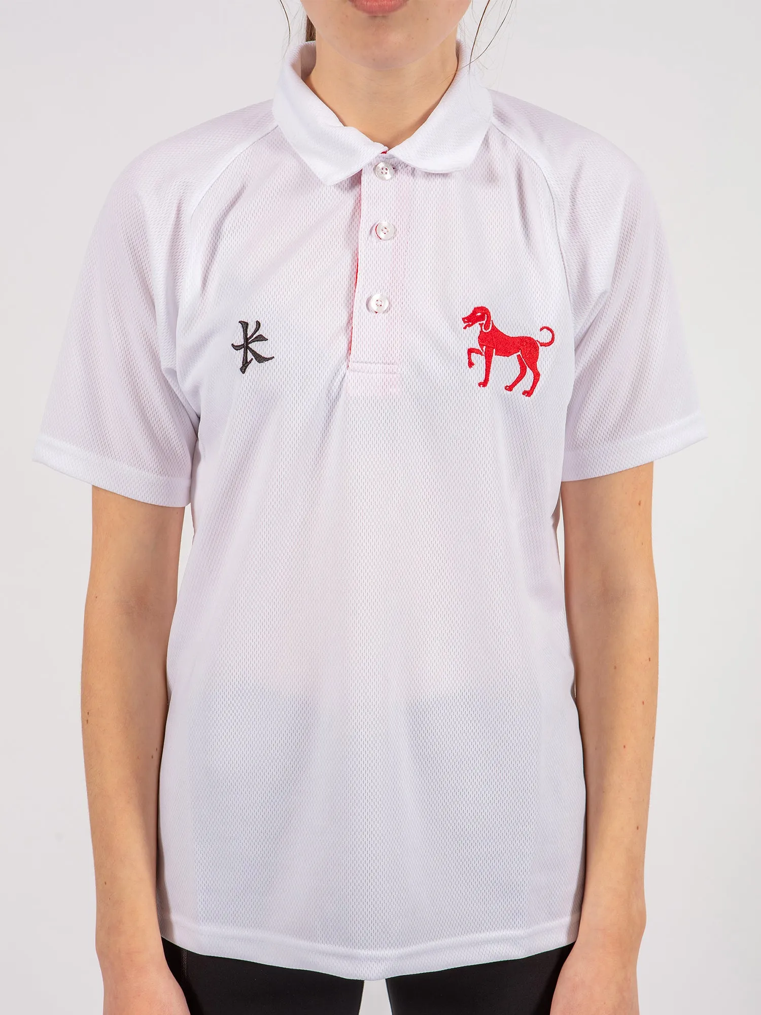 Polo Top
