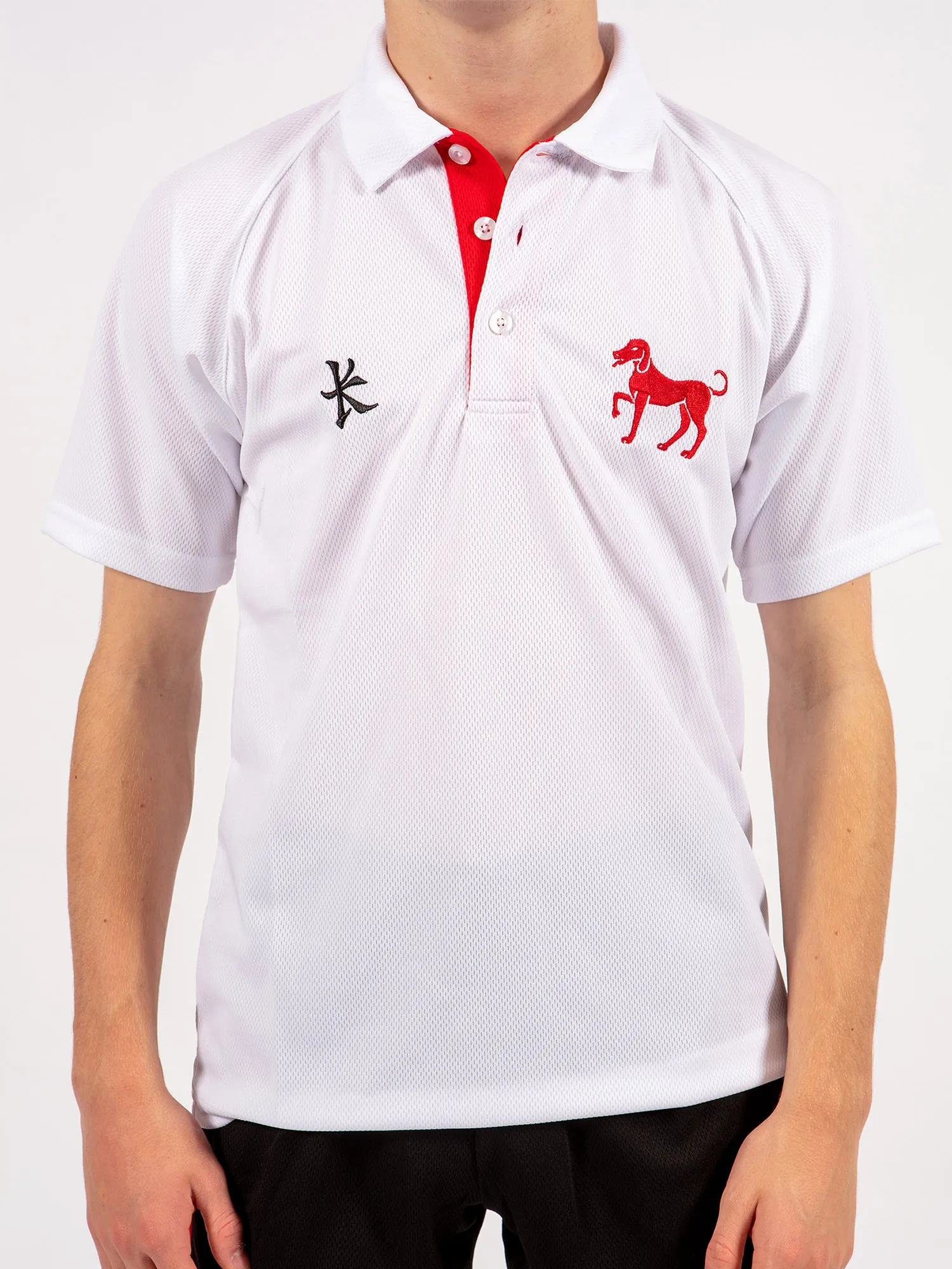 Polo Top