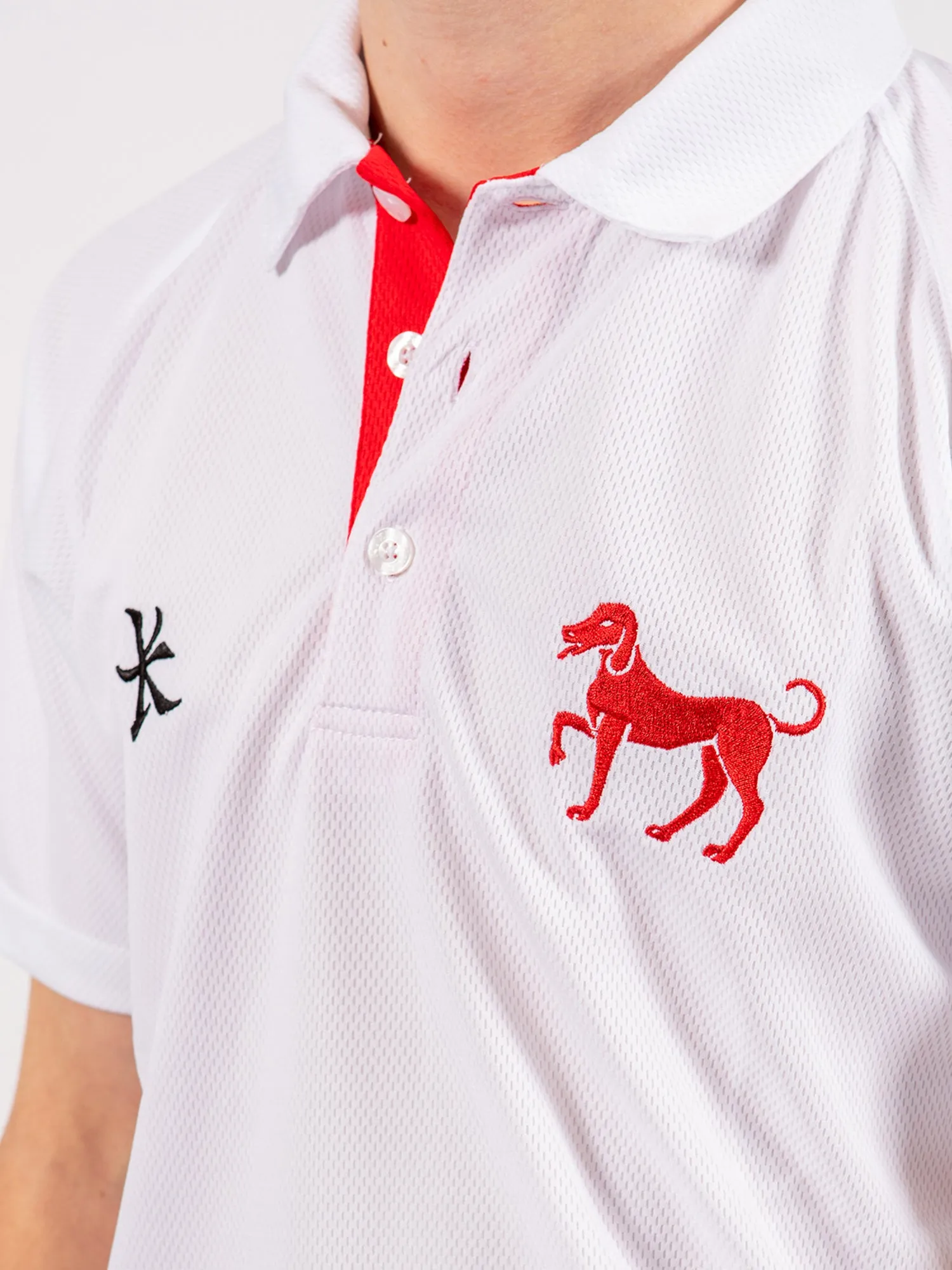 Polo Top