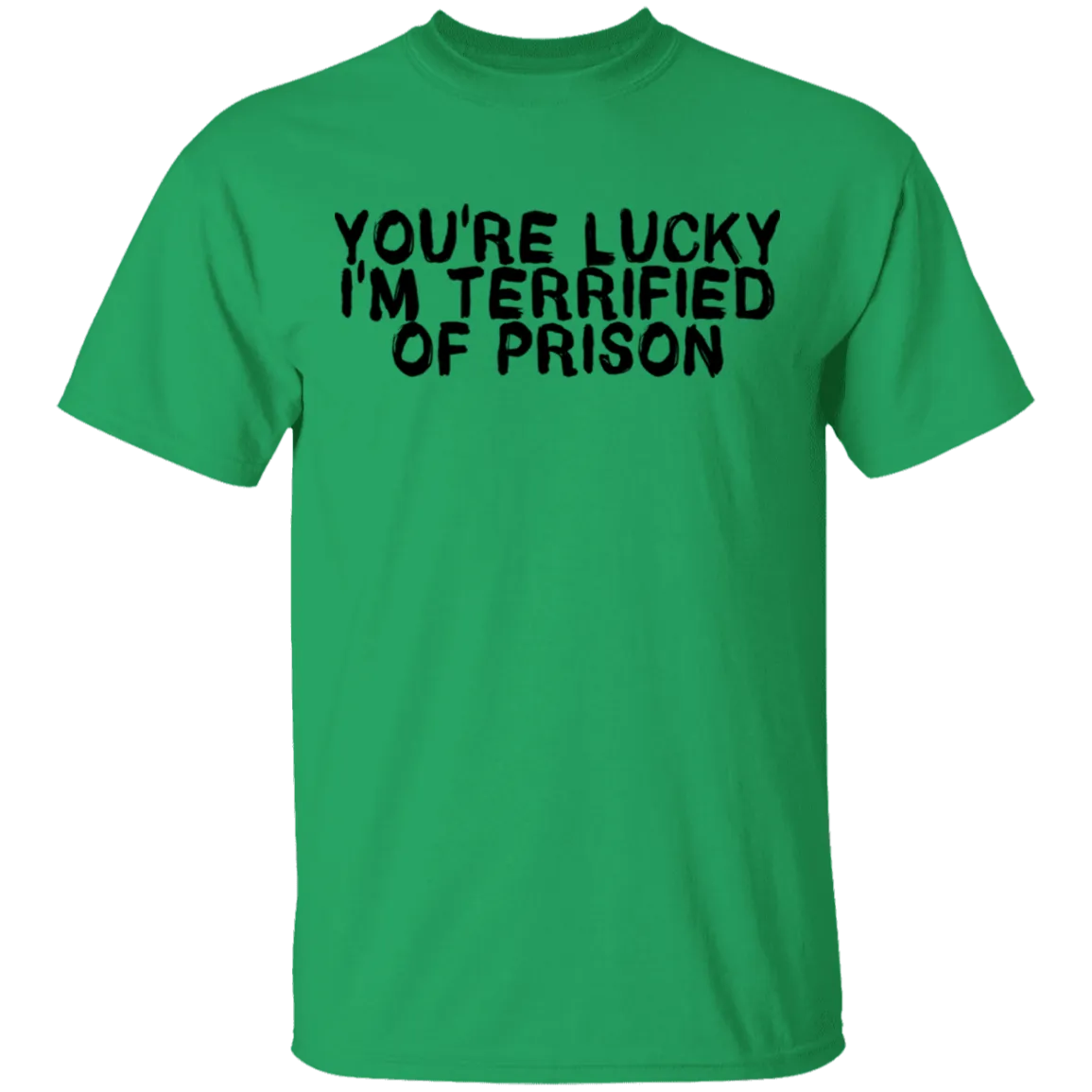 You're Lucky I'm Terrified Of Prison T-Shirt